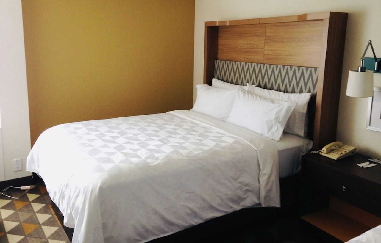 Holiday Inn & Suites Pittsfield-Berkshires By Ihg Eksteriør billede